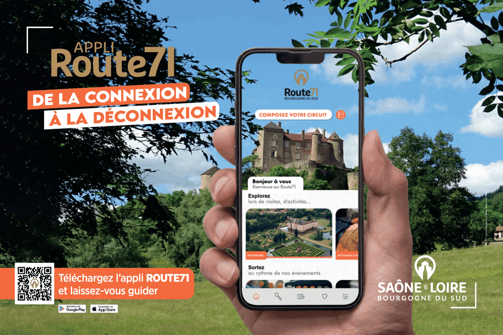 Brocantes 71 - App Route 71 - Mâcon (71)