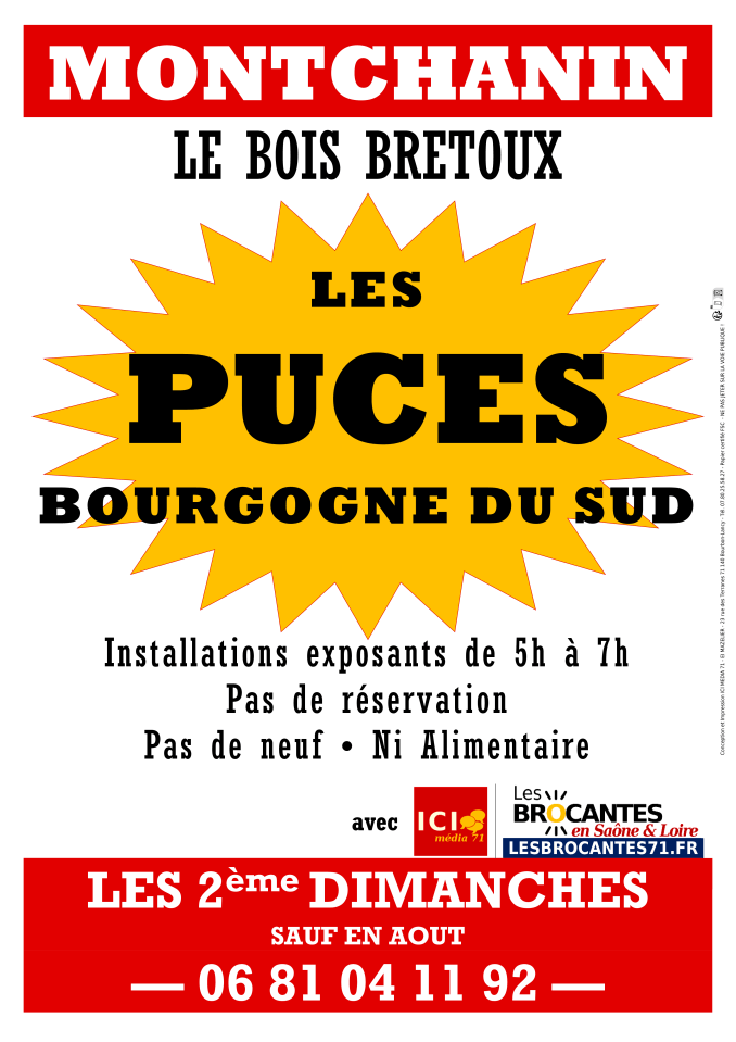 Affiche Puces Bourgogne du Sud